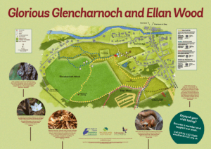 Glencharnoch Board